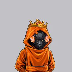 The SHROUDED  #1517