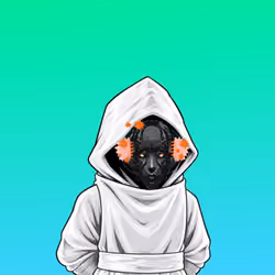 The SHROUDED  #1188