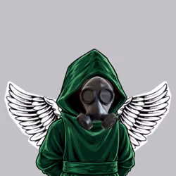 The SHROUDED  #1499