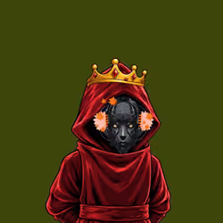 The SHROUDED  #1047