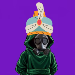 The SHROUDED  #303