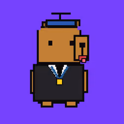Item Media