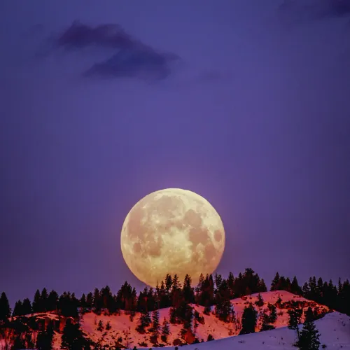 moons