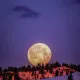 moons