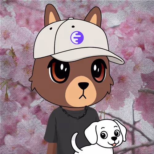 Item #48 Media