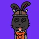 iBunny #1197