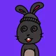 iBunny #4588