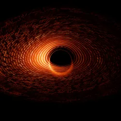 877