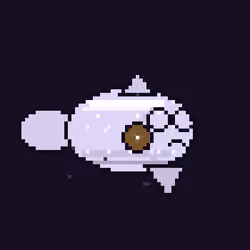 2447