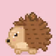 Quill #5000