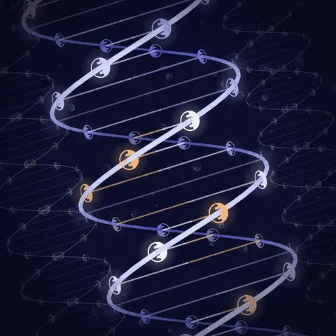 Wisteria Spiral Code