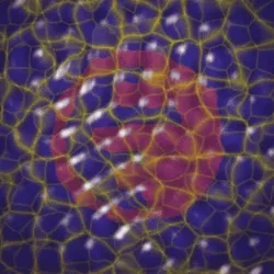 Violet Surface Memory
