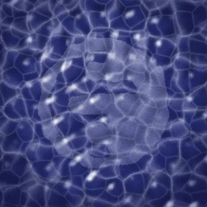 Iris Surface Memory