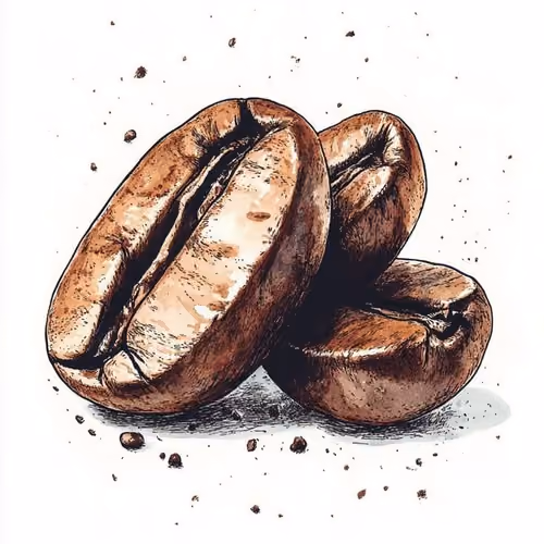 Coffee Beans