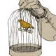 birds