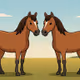 Horses