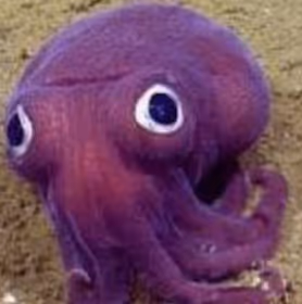 Ink Squid