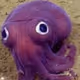 Ink Squid