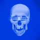 Blue Death