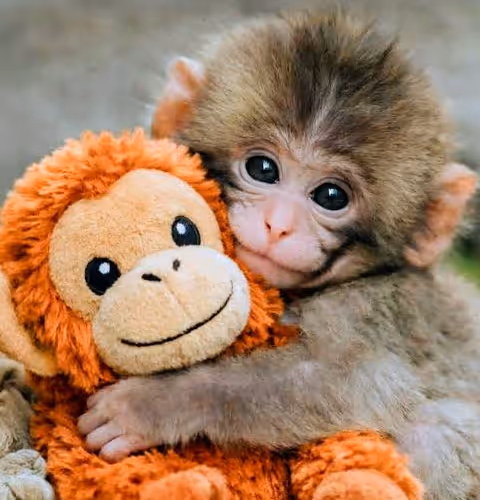 Baby punch