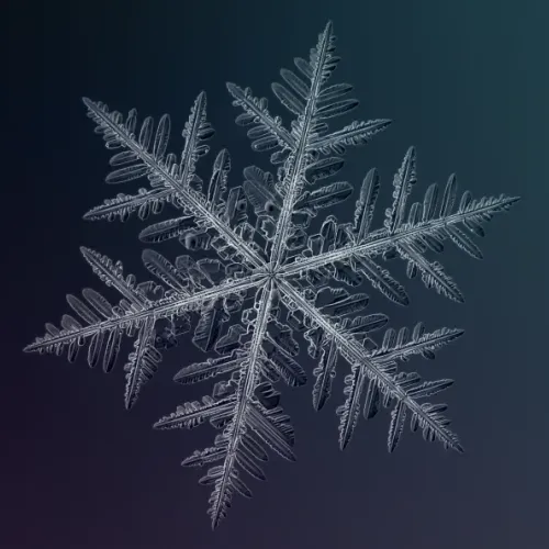 snowflake