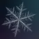 snowflake