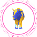 Cow 1st Generation