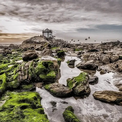 Ana Paula Fotografia