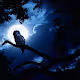 dark_night