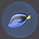 METAVERSE AQUARIUM PRE-OPEN INVITATON TICKET