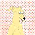 100CollectionGalgo