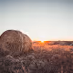 Nebraksa