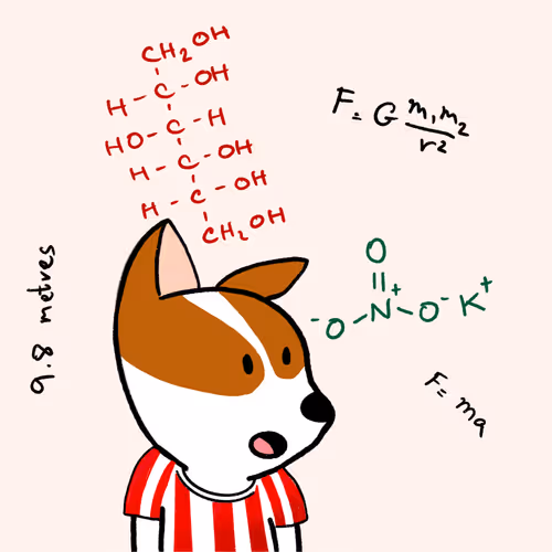 PROPELLANT