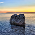 Croatia - Sea Life