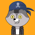 cryptofox00