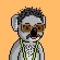 Portrait of Koala