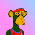 DTMT APE MONKEY COLLECTION