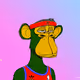DTMT APE MONKEY COLLECTION