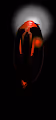 Crypto Art Strange
