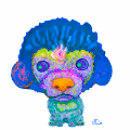 Cipher_Lion's World