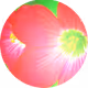 Bloomverse