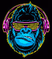 GORILLATERRA