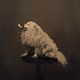 The Original Doge