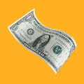 The "Stablecoins" NFT's