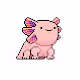 Axolotl Punks
