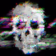 Glitch PNF