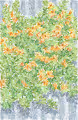 The Flower Garden Of The Wind