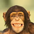 apeism
