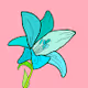 Lily 1