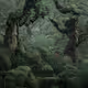 MYSTICAL EDITIONS